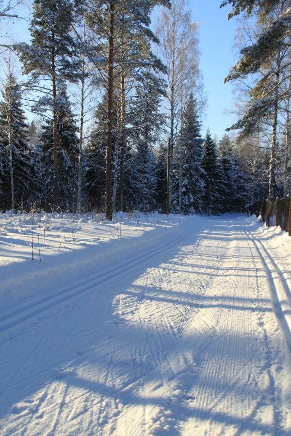 Pankkotupa 16-B Villa Punkaharju Eksteriør billede