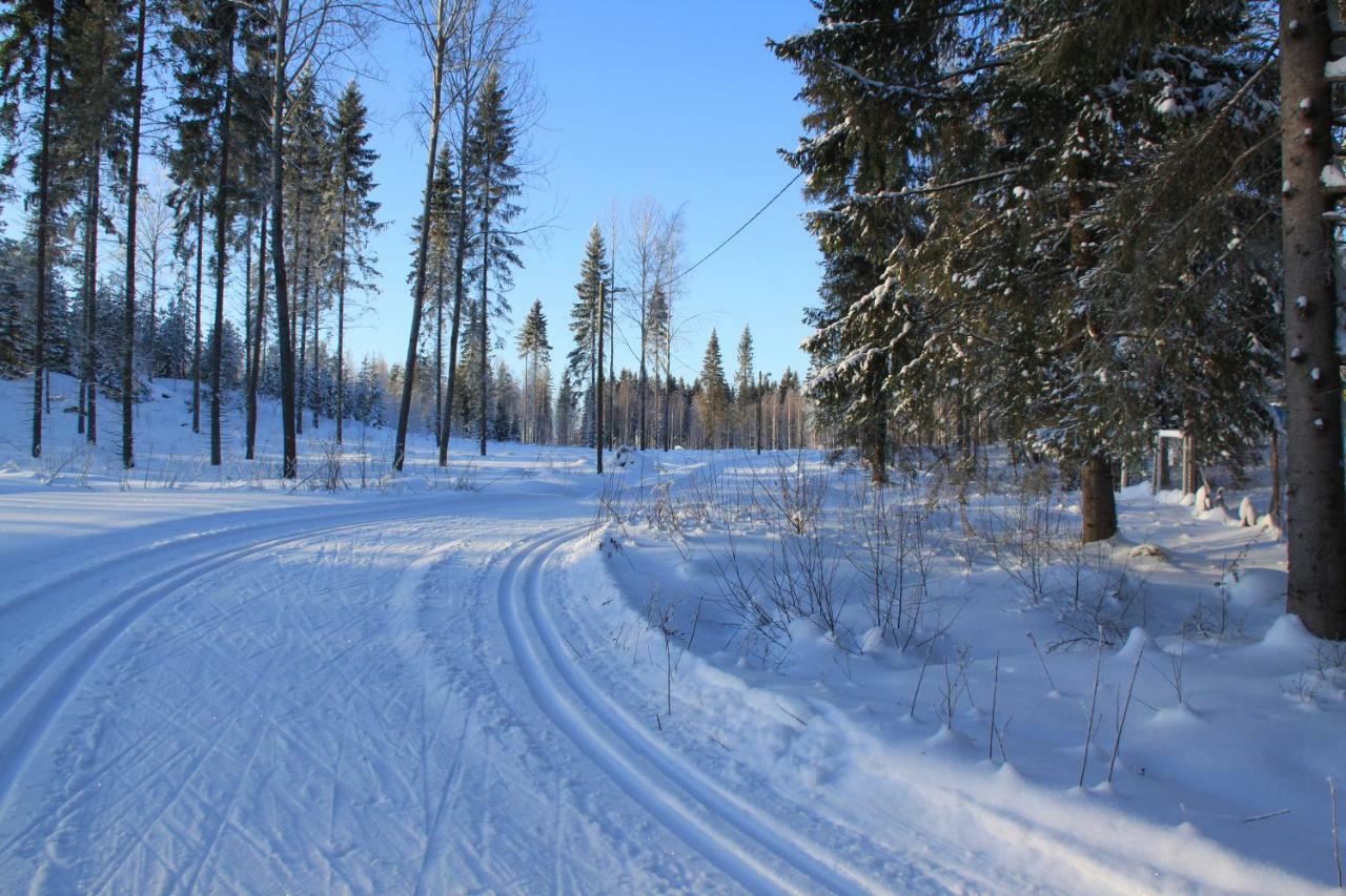 Pankkotupa 16-B Villa Punkaharju Eksteriør billede