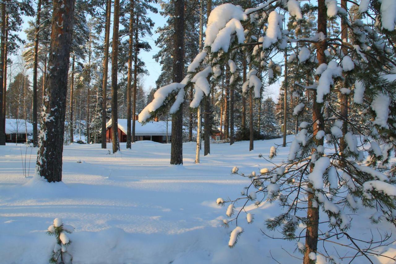 Pankkotupa 16-B Villa Punkaharju Eksteriør billede